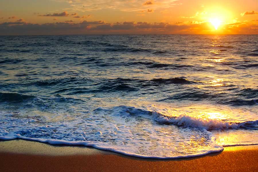 palm beach transportation